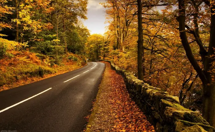 جاده پاییزی پر شده از برگ های نارنجی و قرمز روستای رستم رود 51654763521