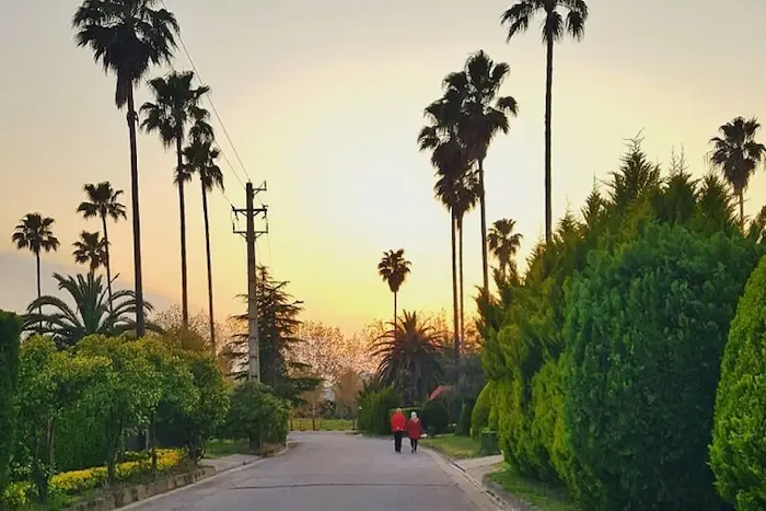 نمایی از غروب تابستان در ایزدشهر 23146853152