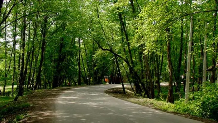 پارک جنگلی کپشل سرسبز روستای لاویج 5454165652