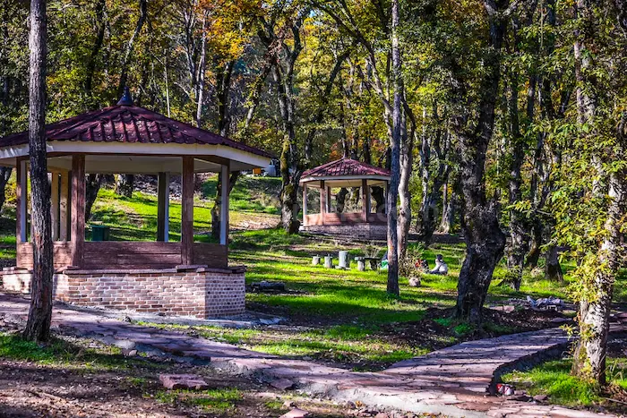 نمایی از آلاچیق ها در کنار جنگل سرسبز پارک جنگلی سیسنگان 4857485645