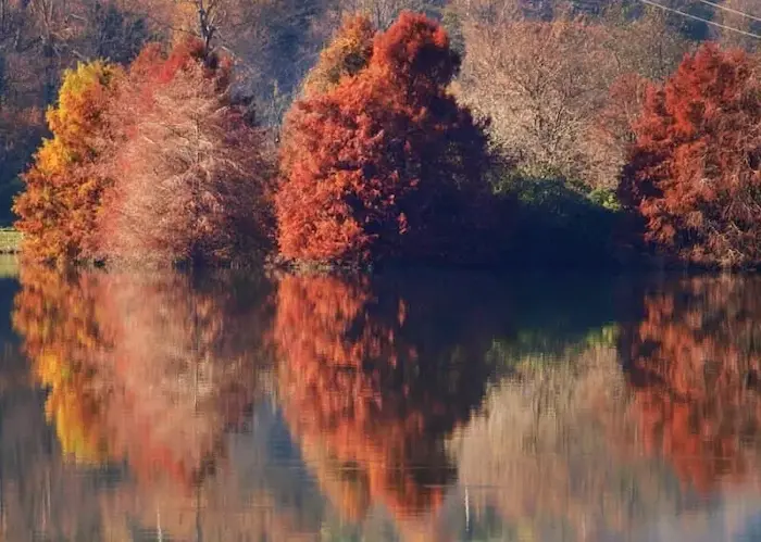زیبایی دریاچه آبیدر در فصل پاییز 163546446586485