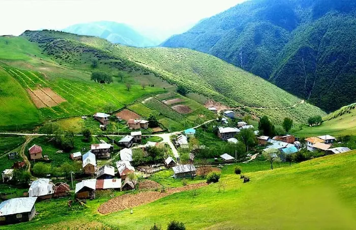 پوشش گیاهی سبز در تابستان چمستان 4584856454684