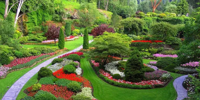 باغ زیبا و فضای سرسبز و رنگارنگ 4646565665