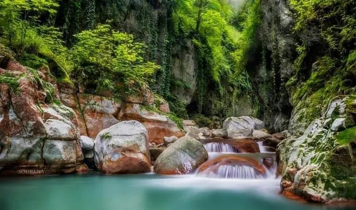 درختان سرسبز و آبشار در تنگ دار مازندران در روستای وازیوار 4685479526454
