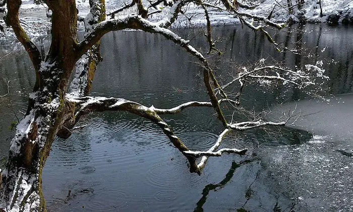 دریاچه فراخین در زمستان 789764