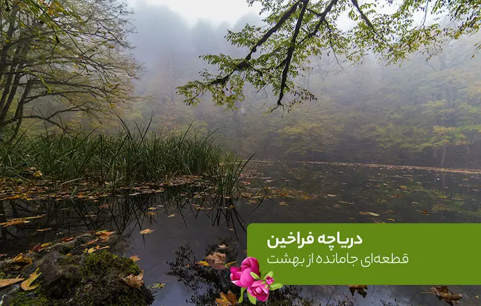 دریاچه فراخین یکی از جاهای دیدنی نوشهر 89746