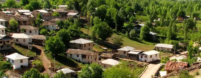 طبیعت سرسبز در کنار خانه های مسکونی روستای نیمور در نزدیکی حسن اباد نور 48563476