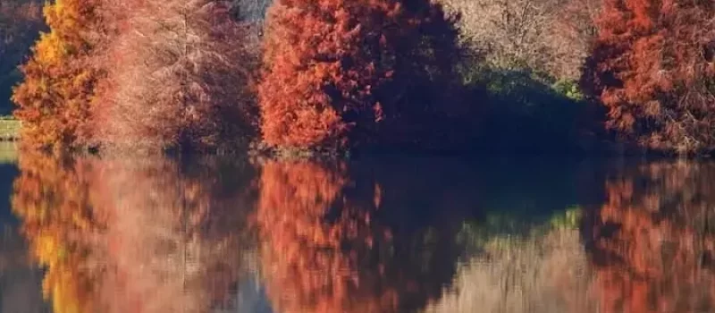 زیبایی دریاچه آبیدر در فصل پاییز 5314561346586485
